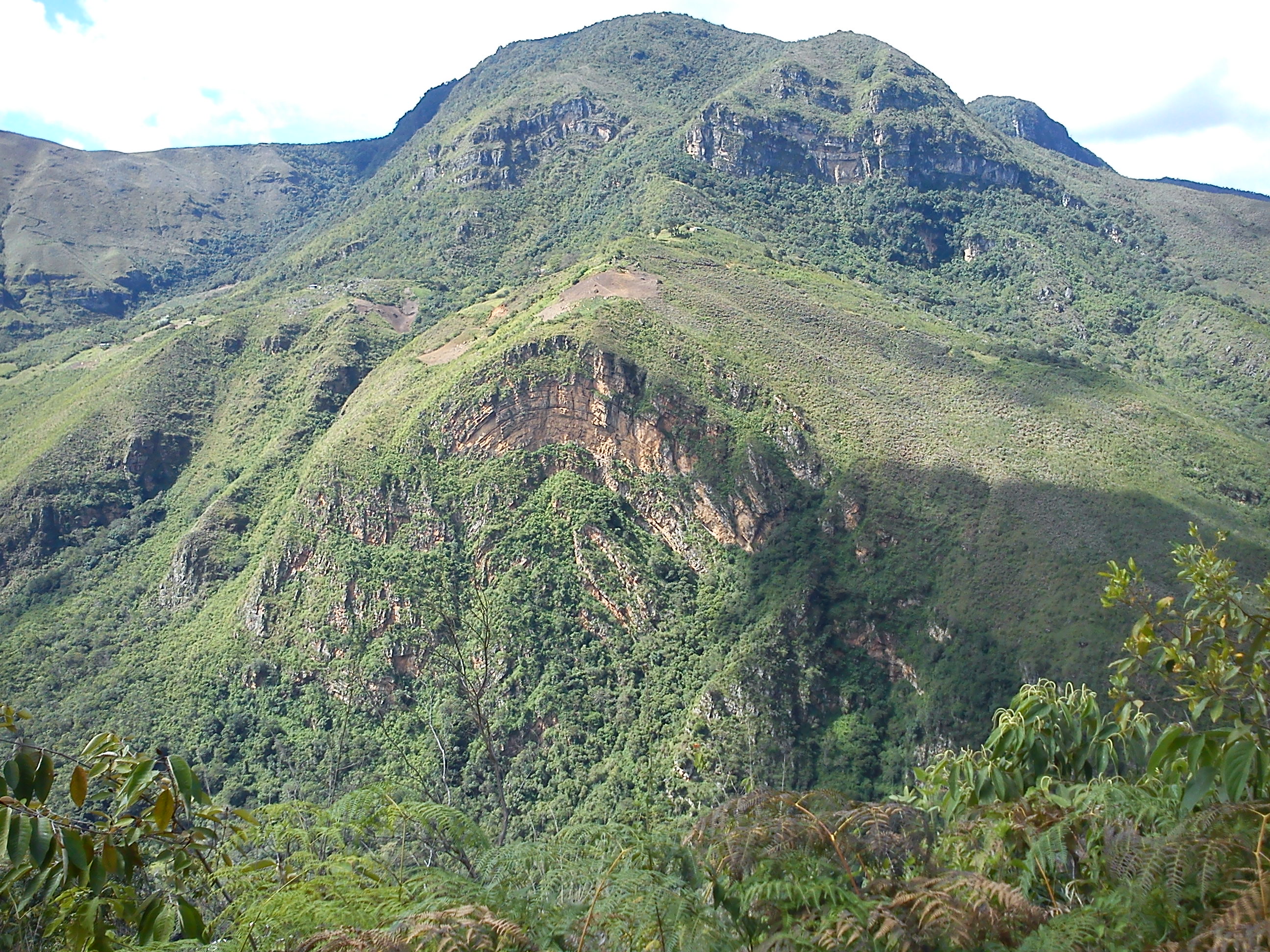 Anticlinal o Antiforme