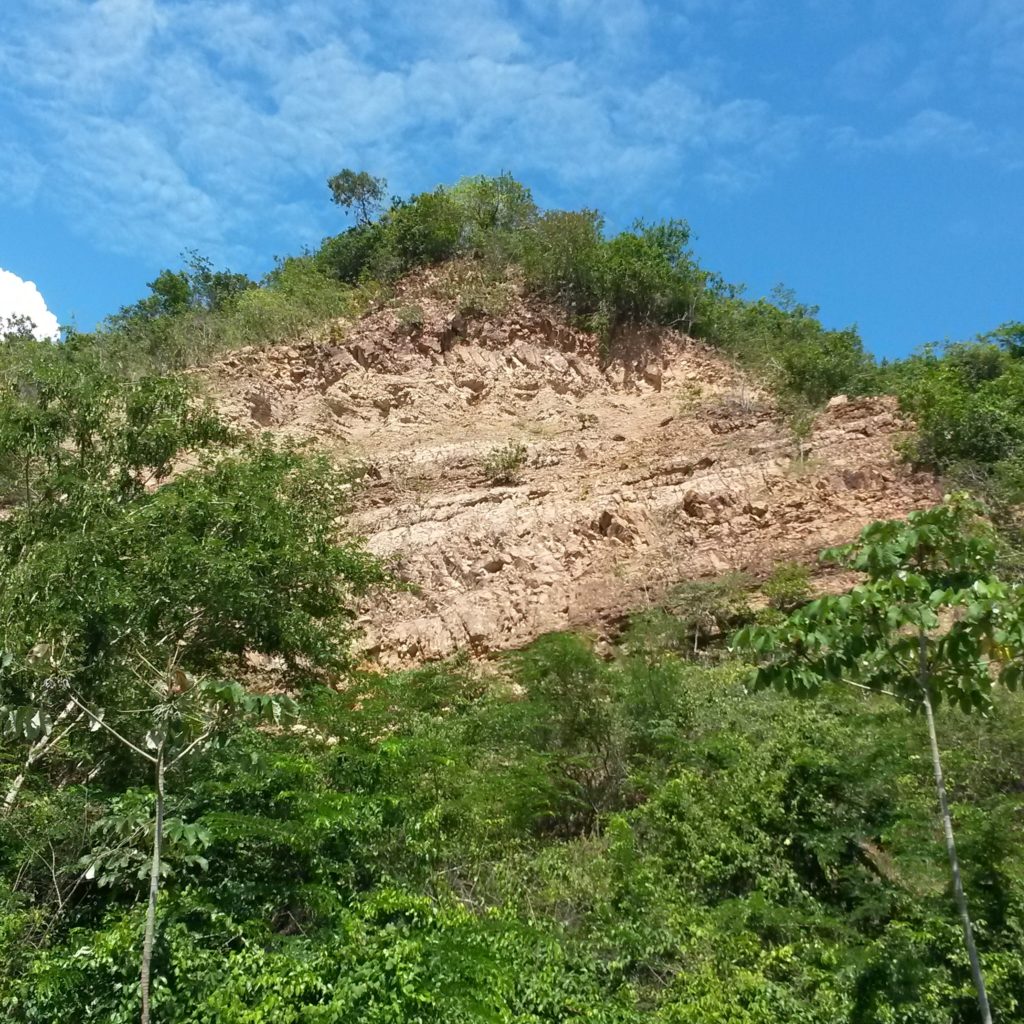 Afloramiento de Areniscas - Roca reservorio o yacimiento