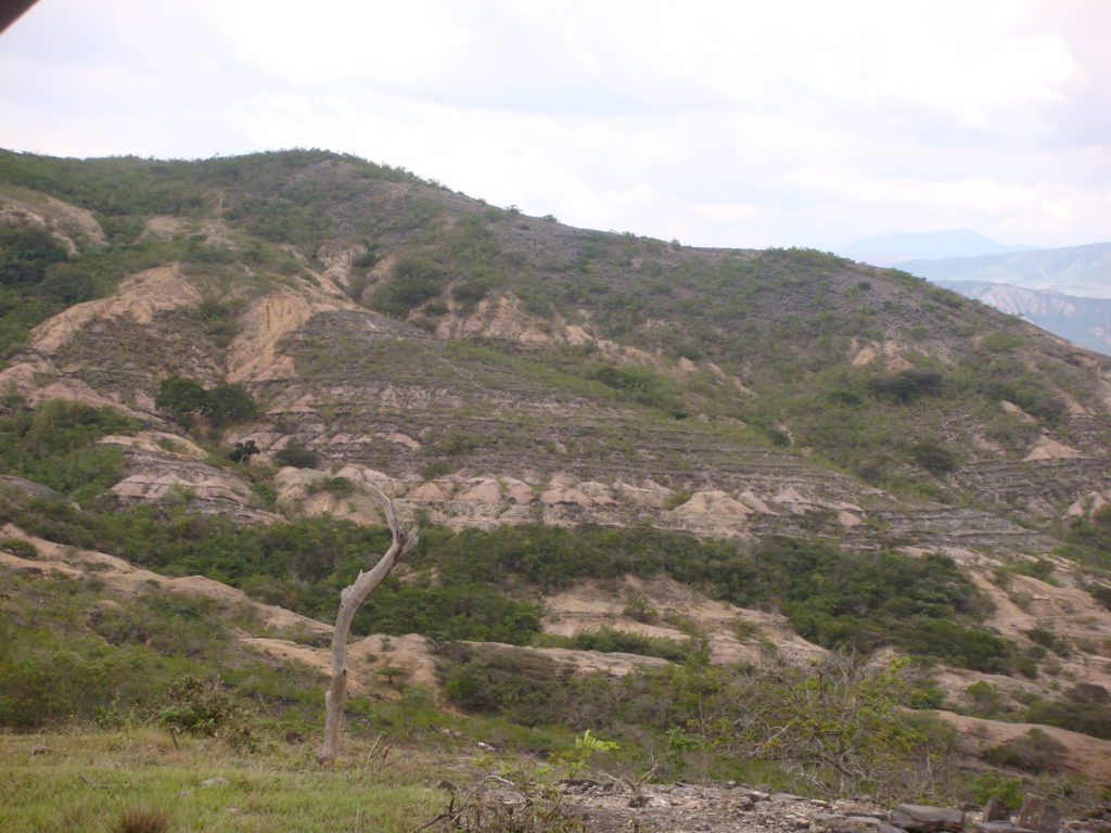 Afloramiento de Caliza - Roca reservorio o yacimiento